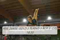 A56_26493-GOLD-3-TURNO-3-ROT-3-ORE-18.30