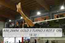 A56_26494-GOLD-3-TURNO-3-ROT-3-ORE-18.30