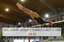 A56_26499-GOLD-3-TURNO-3-ROT-3-ORE-18.30