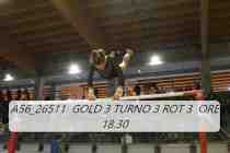 A56_26511-GOLD-3-TURNO-3-ROT-3-ORE-18.30