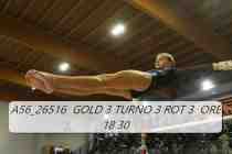 A56_26516-GOLD-3-TURNO-3-ROT-3-ORE-18.30