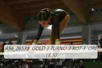 A56_26538-GOLD-3-TURNO-3-ROT-3-ORE-18.30