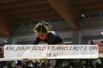 A56_26539-GOLD-3-TURNO-3-ROT-3-ORE-18.30