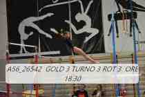 A56_26542-GOLD-3-TURNO-3-ROT-3-ORE-18.30