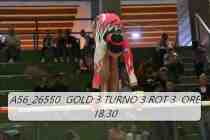 A56_26550-GOLD-3-TURNO-3-ROT-3-ORE-18.30