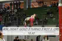 A56_26561-GOLD-3-TURNO-3-ROT-3-ORE-18.30