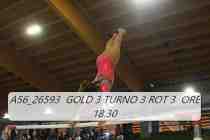 A56_26593-GOLD-3-TURNO-3-ROT-3-ORE-18.30