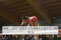 A56_26612-GOLD-3-TURNO-3-ROT-3-ORE-18.30