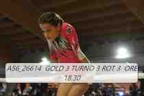 A56_26614-GOLD-3-TURNO-3-ROT-3-ORE-18.30