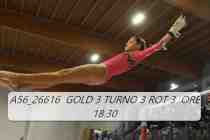 A56_26616-GOLD-3-TURNO-3-ROT-3-ORE-18.30