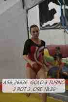 A56_26636-GOLD-3-TURNO-3-ROT-3-ORE-18.30