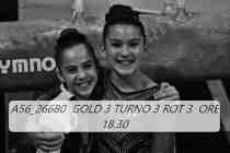 A56_26680-GOLD-3-TURNO-3-ROT-3-ORE-18.30