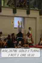 A56_26796-GOLD-3-TURNO-3-ROT-3-ORE-18.30