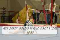 A56_26877-GOLD-3-TURNO-3-ROT-3-ORE-18.30