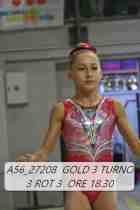 A56_27208-GOLD-3-TURNO-3-ROT-3-ORE-18.30