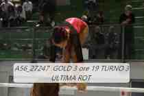 A56_27247-GOLD-3-ore-19-TURNO-3-ULTIMA-ROT-