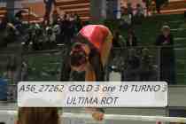 A56_27262-GOLD-3-ore-19-TURNO-3-ULTIMA-ROT-