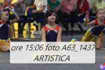 A63_1437-ARTISTICA