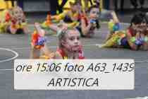 A63_1439-ARTISTICA