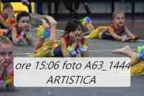 A63_1444-ARTISTICA