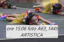 A63_1445-ARTISTICA