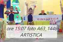 A63_1448-ARTISTICA