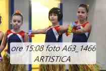 A63_1466-ARTISTICA