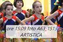 A63_1513-ARTISTICA