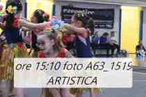 A63_1519-ARTISTICA