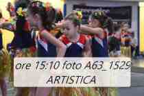 A63_1529-ARTISTICA