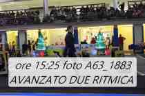 A63_1883-AVANZATO-DUE-RITMICA