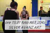 A63_2043-SILVER-AVANZ-ART