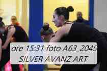 A63_2045-SILVER-AVANZ-ART