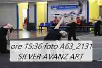 A63_2131-SILVER-AVANZ-ART