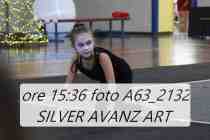 A63_2132-SILVER-AVANZ-ART