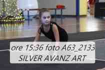 A63_2133-SILVER-AVANZ-ART