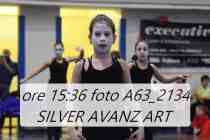 A63_2134-SILVER-AVANZ-ART