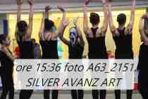 A63_2151-SILVER-AVANZ-ART