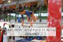 A56_03397-GOLD-1-or-e-11-ROTAZ-QUATTRO