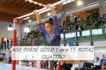 A56_03426-GOLD-1-or-e-11-ROTAZ-QUATTRO