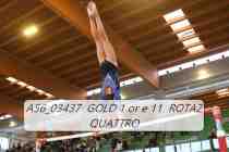 A56_03437-GOLD-1-or-e-11-ROTAZ-QUATTRO