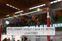 A56_03446-GOLD-1-or-e-11-ROTAZ-QUATTRO