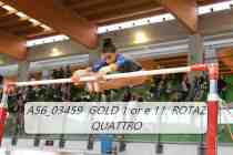 A56_03459-GOLD-1-or-e-11-ROTAZ-QUATTRO