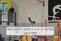 A56_03473-GOLD-1-or-e-11-ROTAZ-QUATTRO