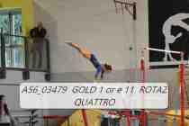 A56_03479-GOLD-1-or-e-11-ROTAZ-QUATTRO