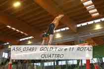 A56_03491-GOLD-1-or-e-11-ROTAZ-QUATTRO