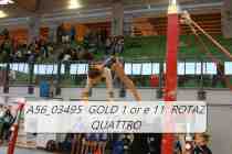 A56_03495-GOLD-1-or-e-11-ROTAZ-QUATTRO