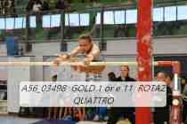 A56_03498-GOLD-1-or-e-11-ROTAZ-QUATTRO