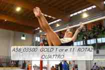 A56_03500-GOLD-1-or-e-11-ROTAZ-QUATTRO