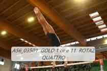 A56_03501-GOLD-1-or-e-11-ROTAZ-QUATTRO